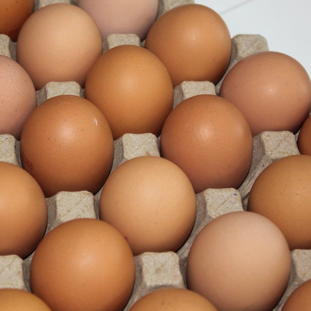 Eggs in Carton Tray — Llandilo, NSW — Llandilo Farm Fresh Eggs