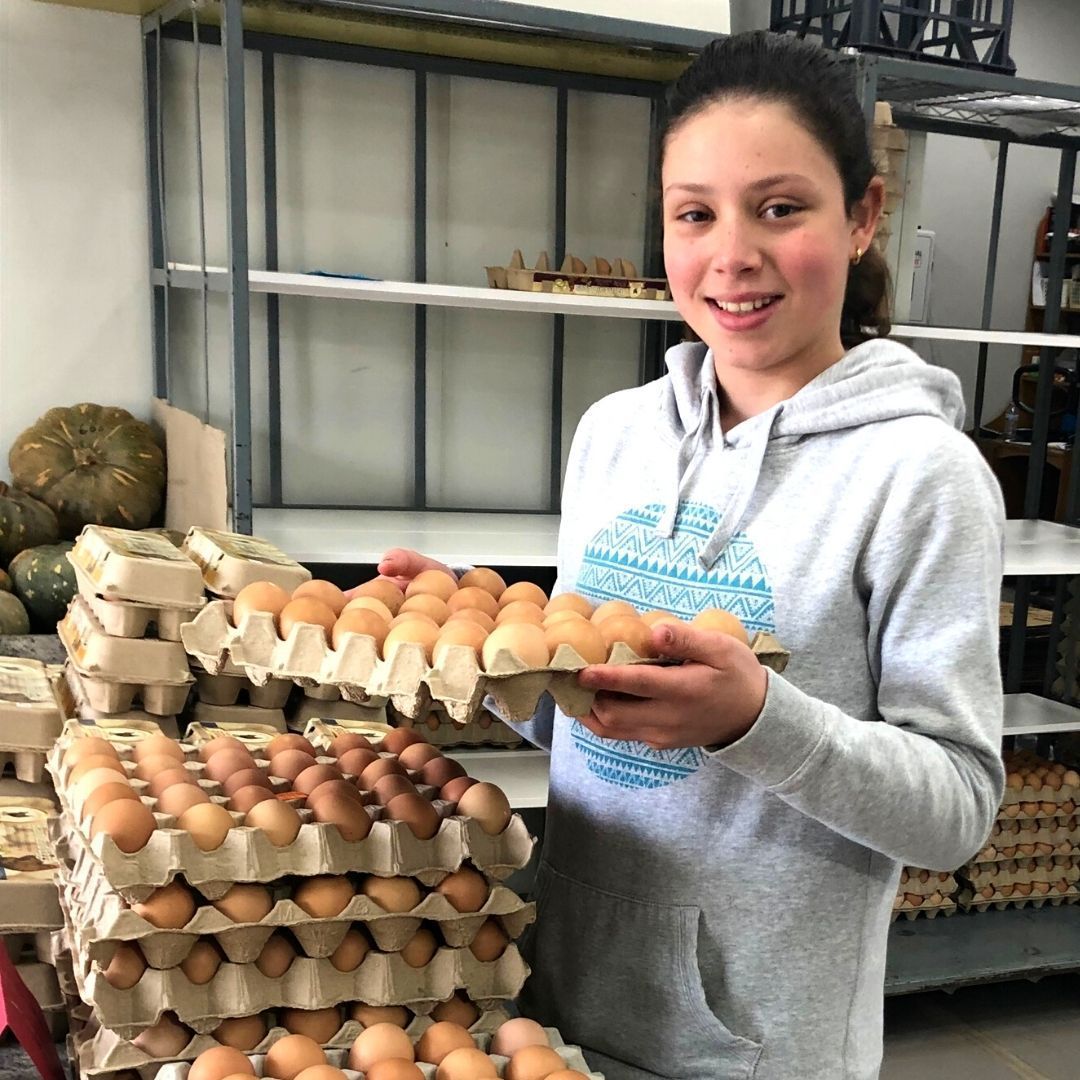 Girl Holding Tray of Eggs — Llandilo, NSW — Llandilo Farm Fresh Eggs
