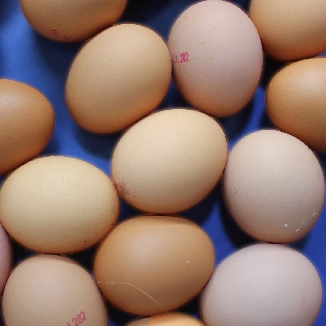 Brown Fresh Eggs — Llandilo, NSW — Llandilo Farm Fresh Eggs