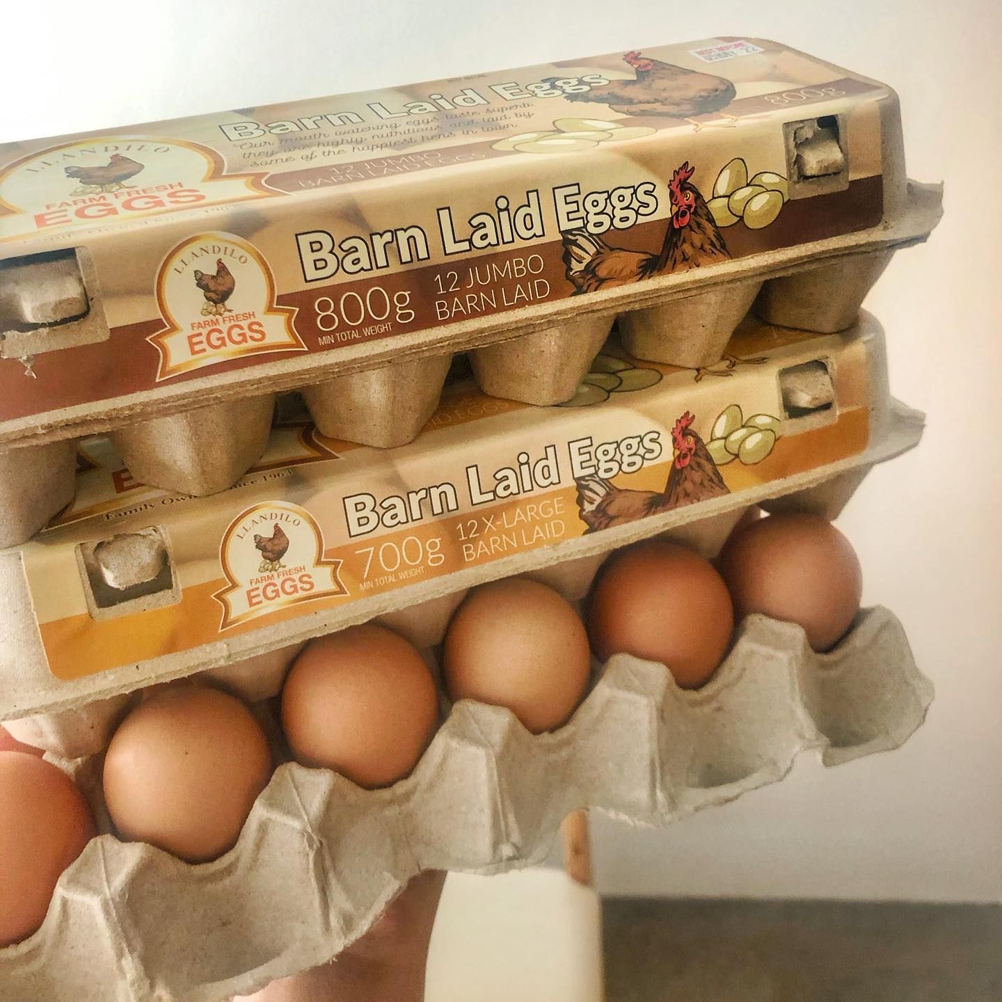 Fresh Eggs — Llandilo, NSW — Llandilo Farm Fresh Eggs