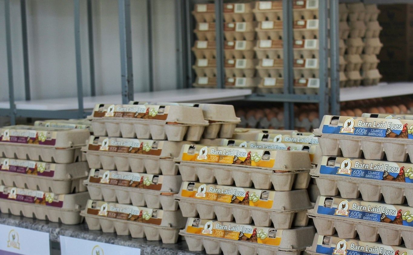 Tray of Eggs — Llandilo, NSW — Llandilo Farm Fresh Eggs