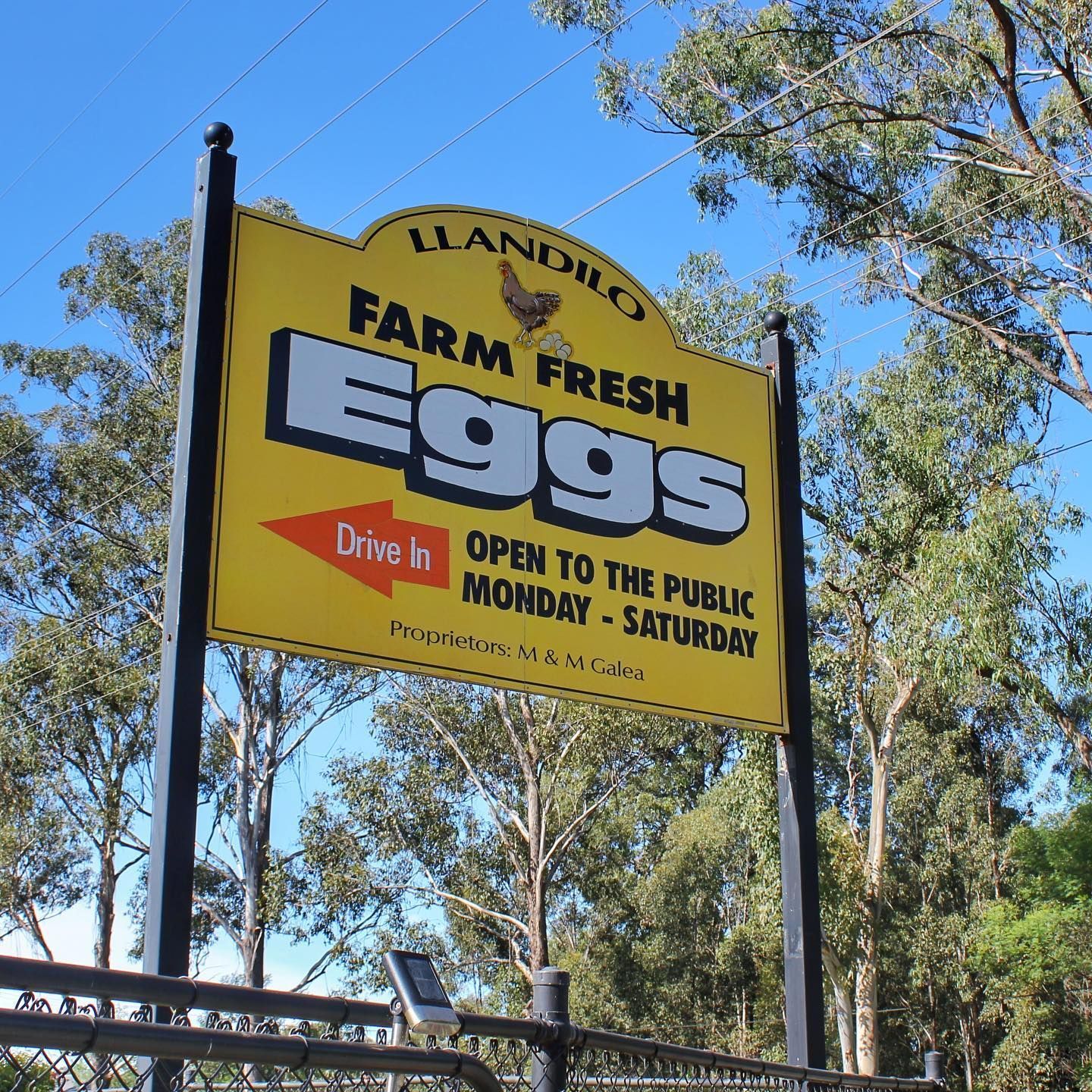 Llandilo Farm Fresh Eggs Signage — Llandilo, NSW — Llandilo Farm Fresh Eggs
