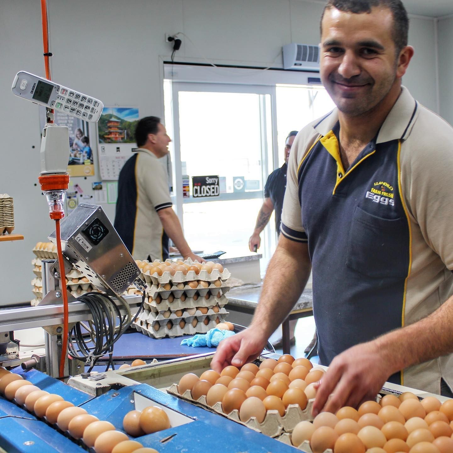 Egg Factory — Llandilo, NSW — Llandilo Farm Fresh Eggs