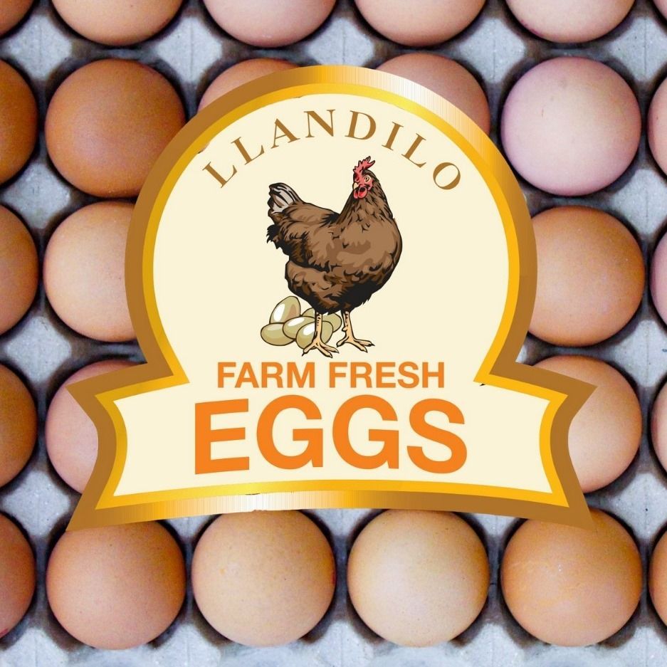 Farm Fresh Eggs — Llandilo, NSW — Llandilo Farm Fresh Eggs