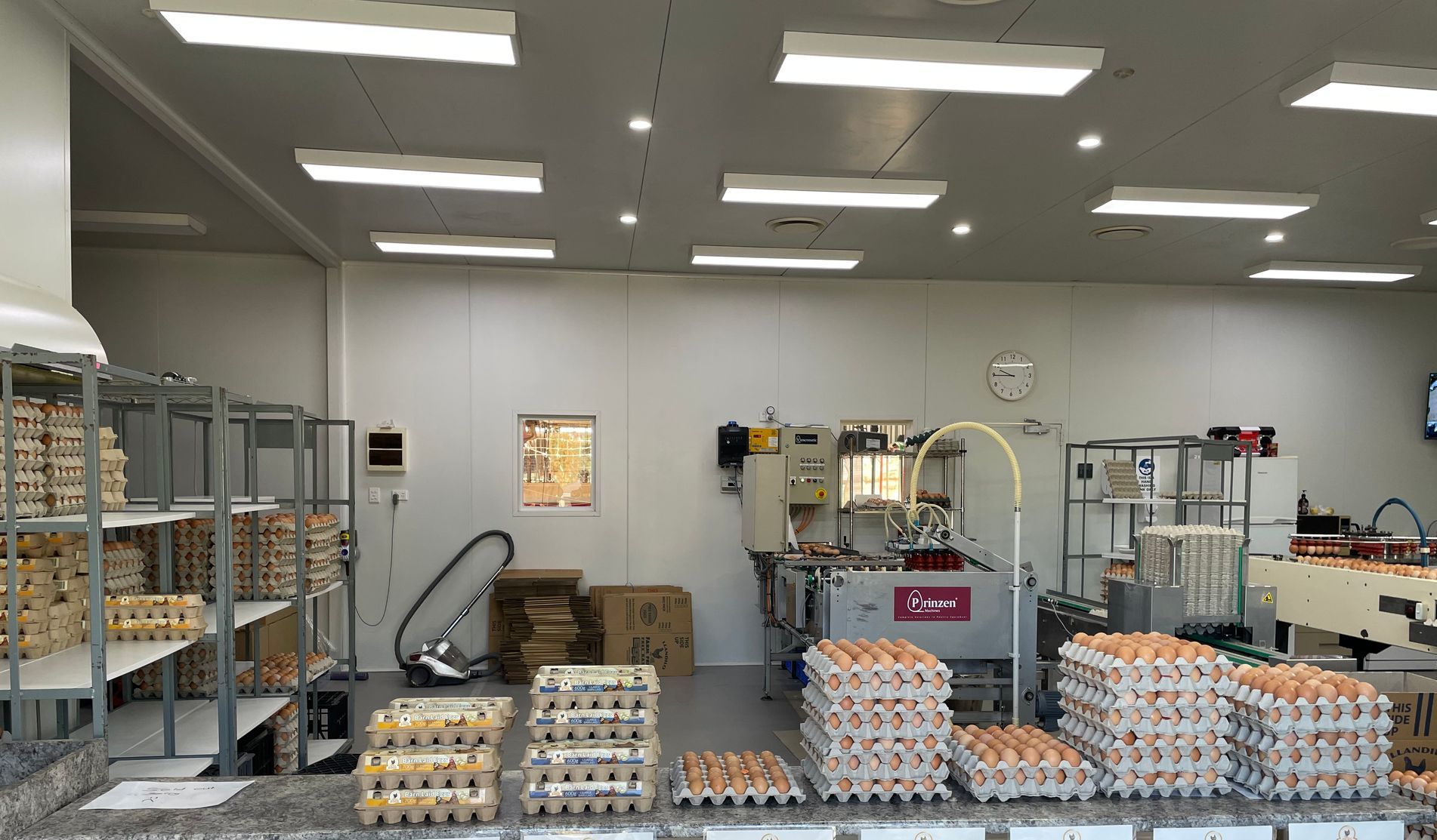 Big Hens — Llandilo, NSW — Llandilo Farm Fresh Eggs