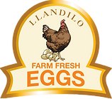 Llandilo Farm Fresh Eggs