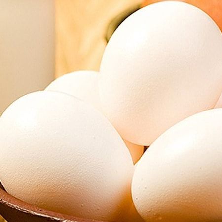 White Eggs — Llandilo, NSW — Llandilo Farm Fresh Eggs