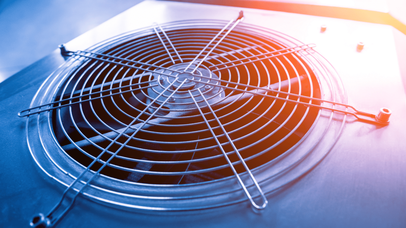 A close up of a fan on a blue background.