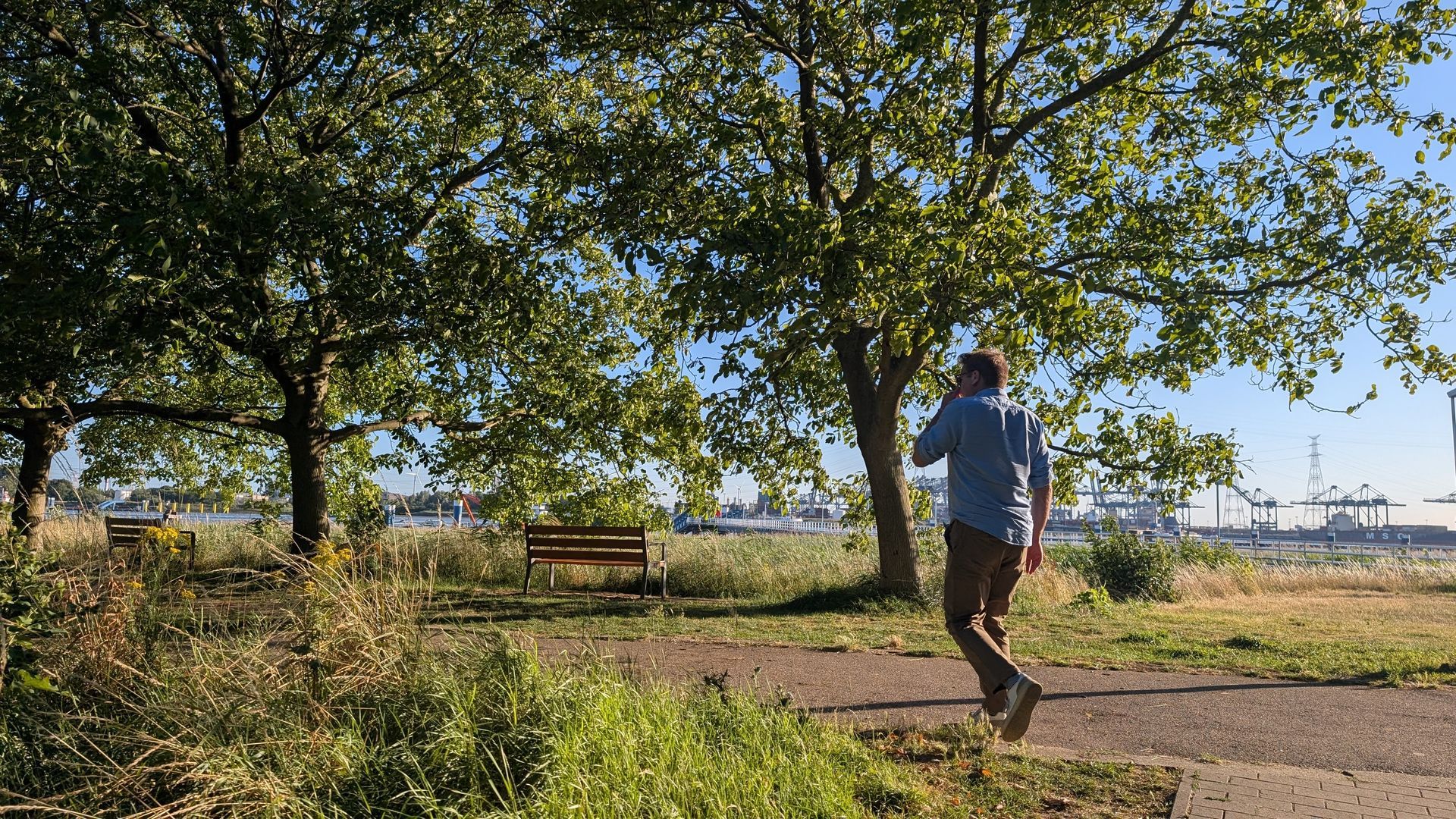 Man walking and talking on the phone in a park; benches and trees in the foreground; harbor in the background.