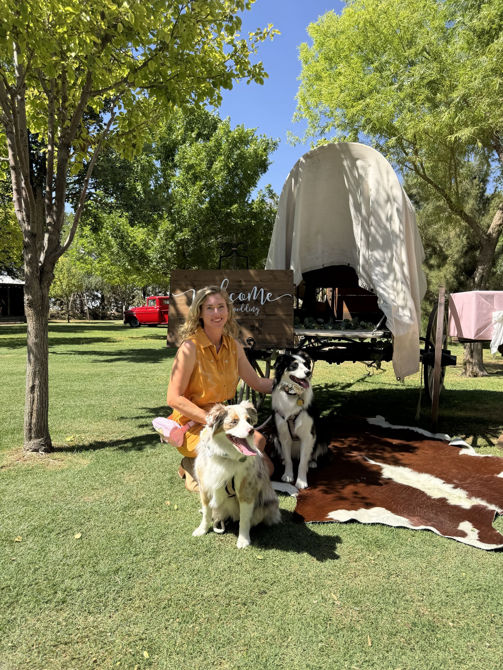 Two women and several dogs in a water park, one woman holding a fluffy dog, sunny day.