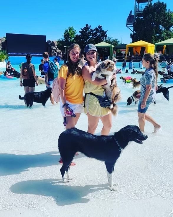 Two women and several dogs in a water park, one woman holding a fluffy dog, sunny day.