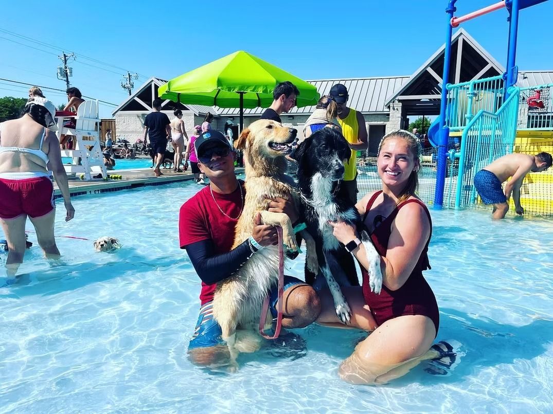 Two people holding wet dogs in a pool. Bright sunny day, other people and a building are in the background.