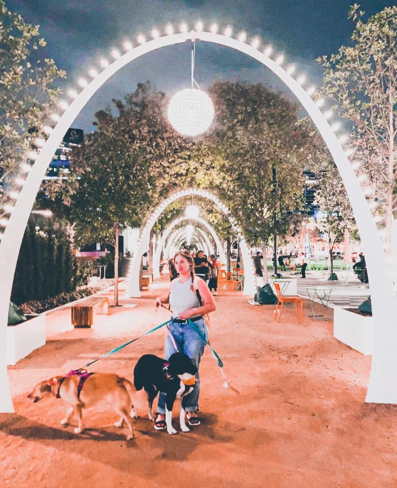 Woman walking two dogs under illuminated archway. Park setting, nighttime.