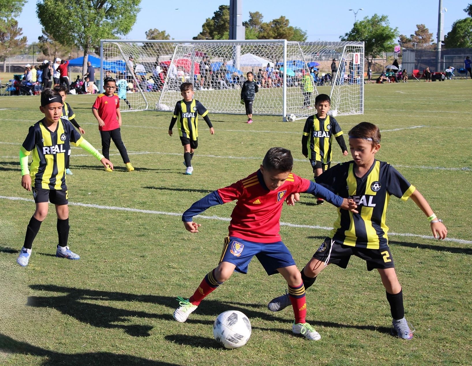 A group of young boys are playing soccer on a field.