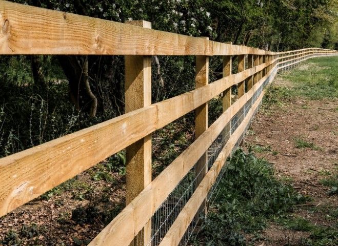 Timber fencing borders a pasture with a forest behind on a warm day