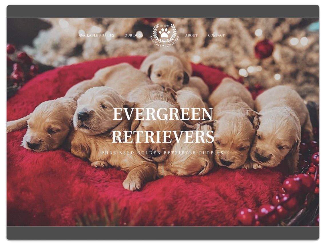 We Offer Web Design for the Dog Breeding Industry, Like This One in Virginia.