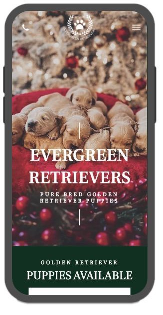 Mobile-Friendly Website Designed by PMI for Evergreen Retrievers