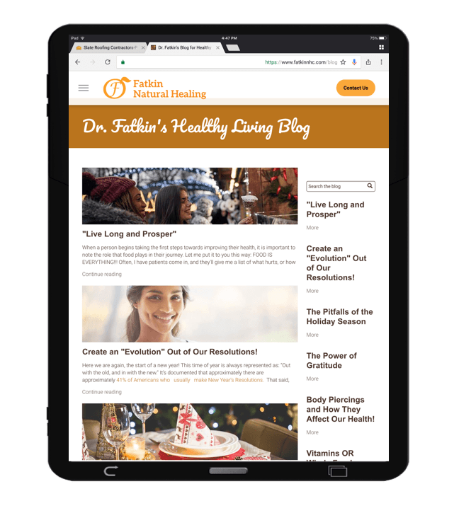 Mobile Optimized Websites Featuring Built-In Blog