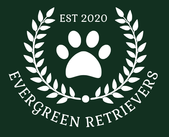 This is a Custom Website Designed by PMI for Evergreen Retrievers.
