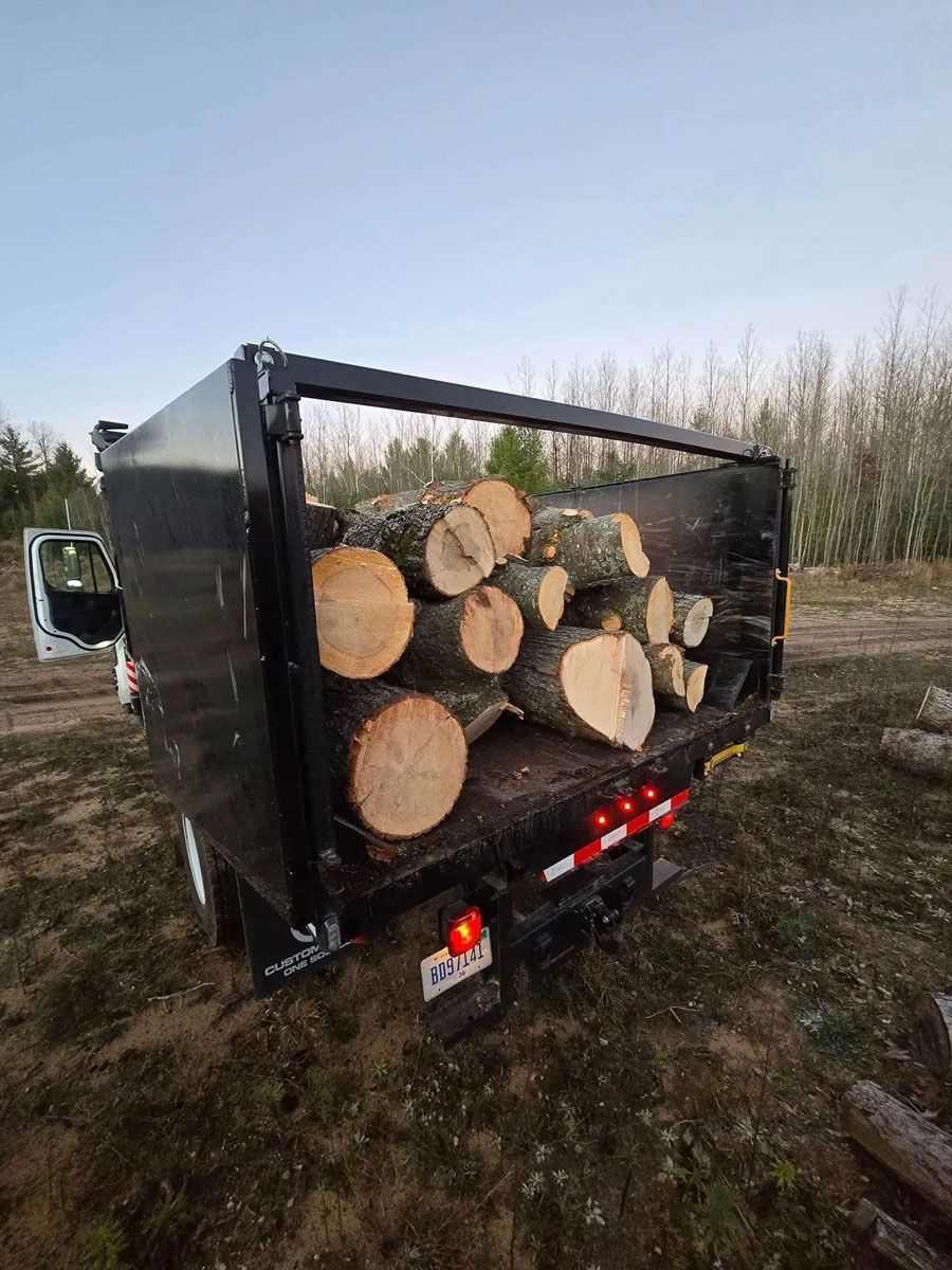 A truck filled with logs is parked in a dirt field.