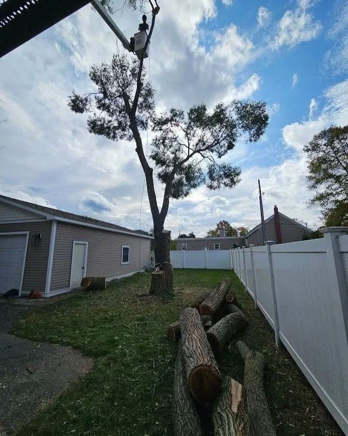 A tree is being cut down in the backyard of a house.