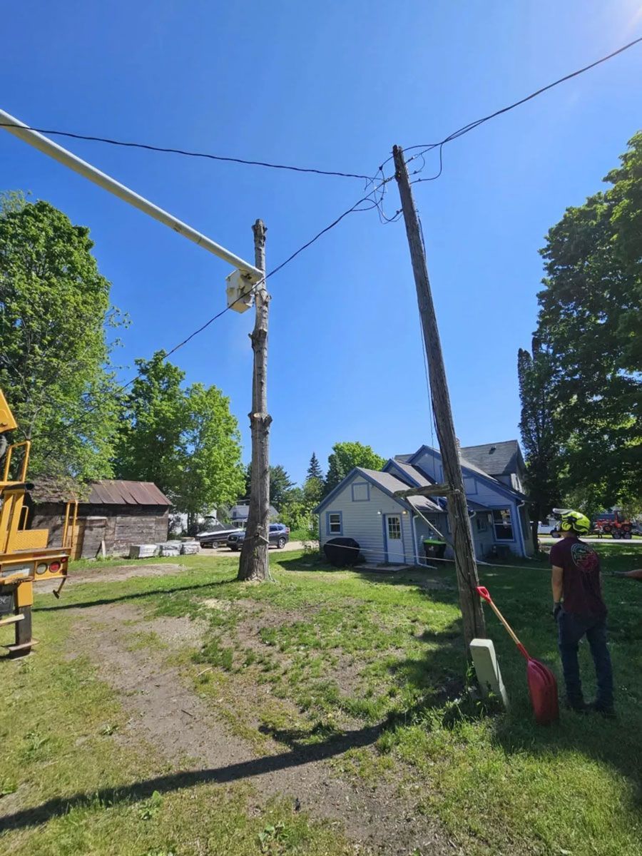 A man is standing next to a telephone pole in a yard.