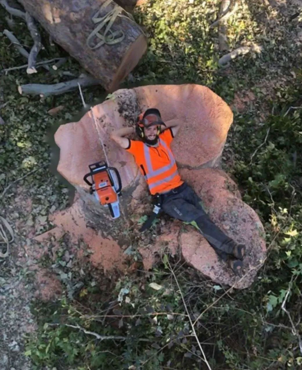 A man is laying on a tree stump with a chainsaw.
