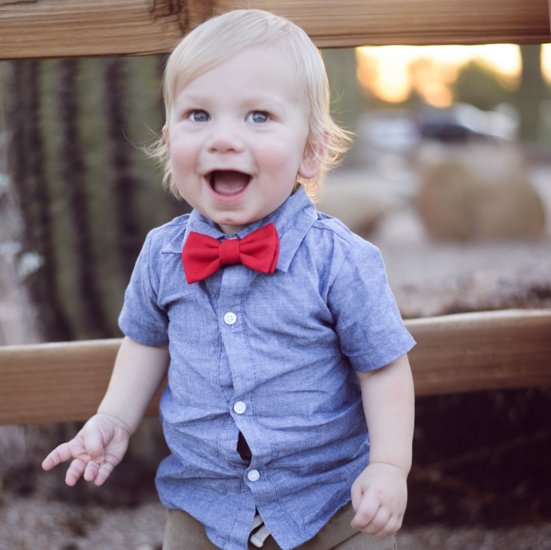 Desert backdrop one year old photography session