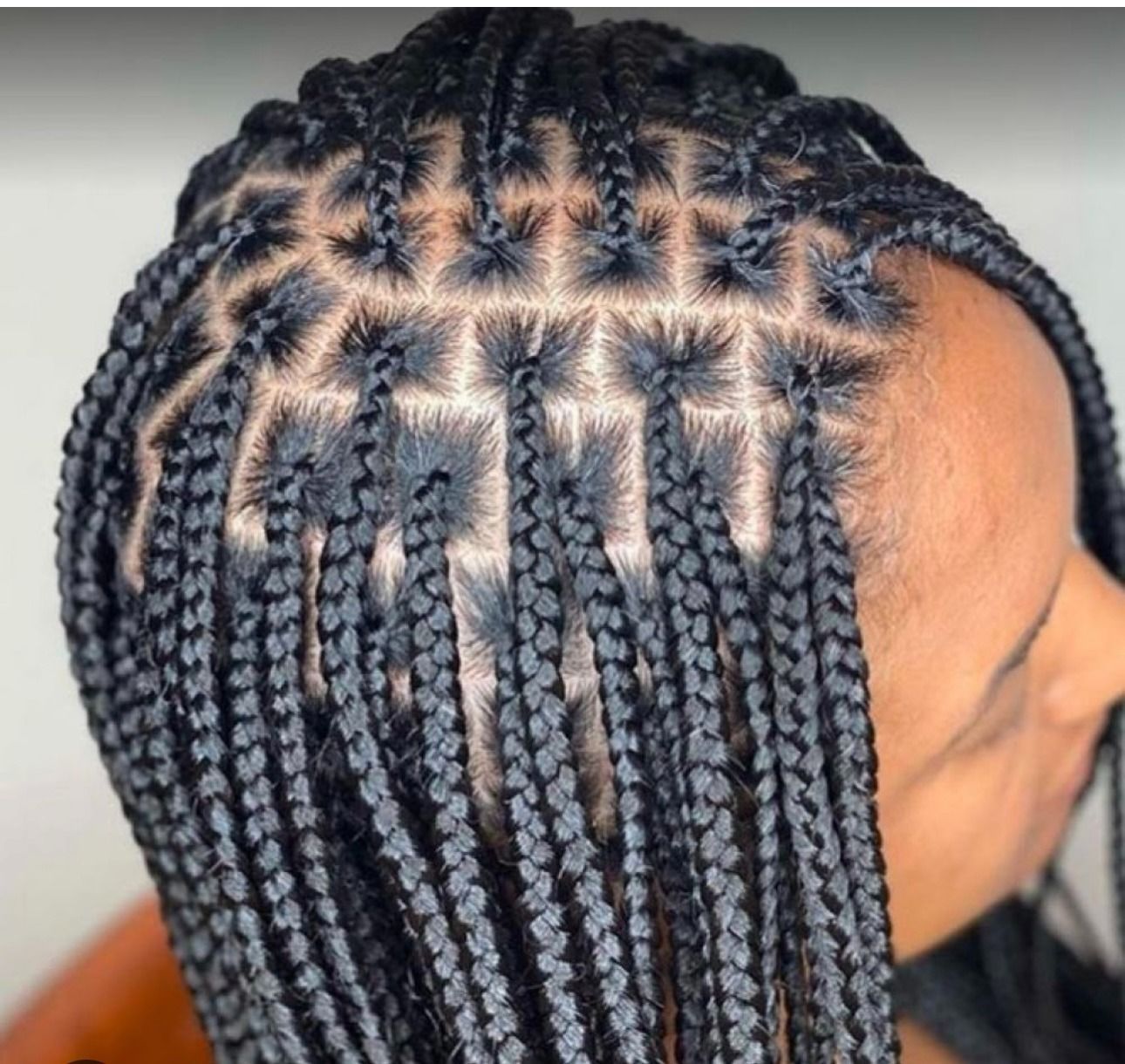 Close-up of box braids hairstyle with square partings.