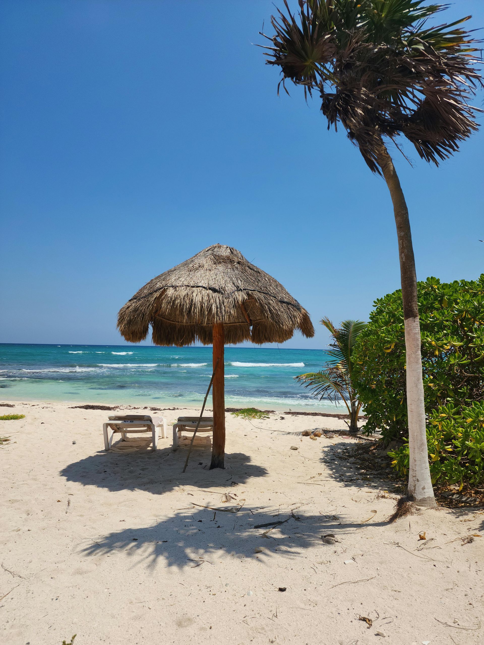 Playa de arena con sombrilla de paja, tumbona, palmera y océano turquesa bajo un cielo azul claro.