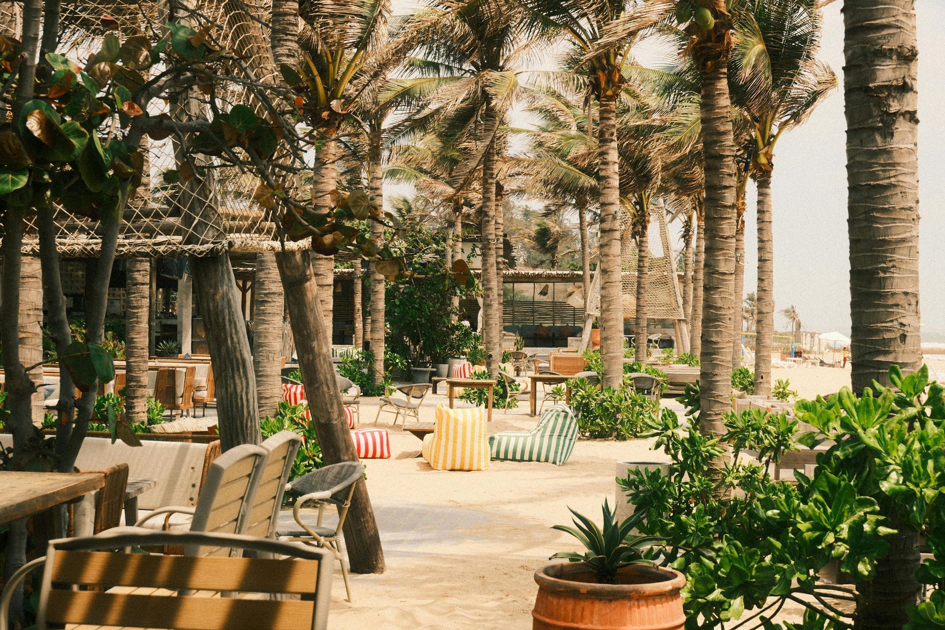 Terraza de café rodeada de palmeras, con mesas, sillas y plantas en macetas, bañada por la cálida luz del sol.