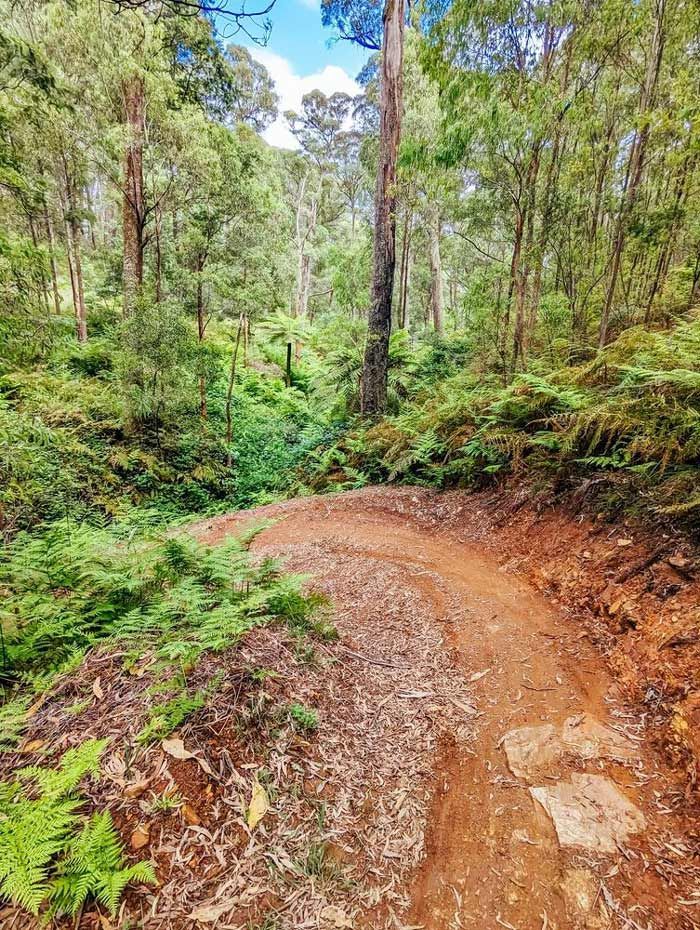 Yackandandah mountain bike trails — A Grade Oils & Batteries In Yackandandah VIC