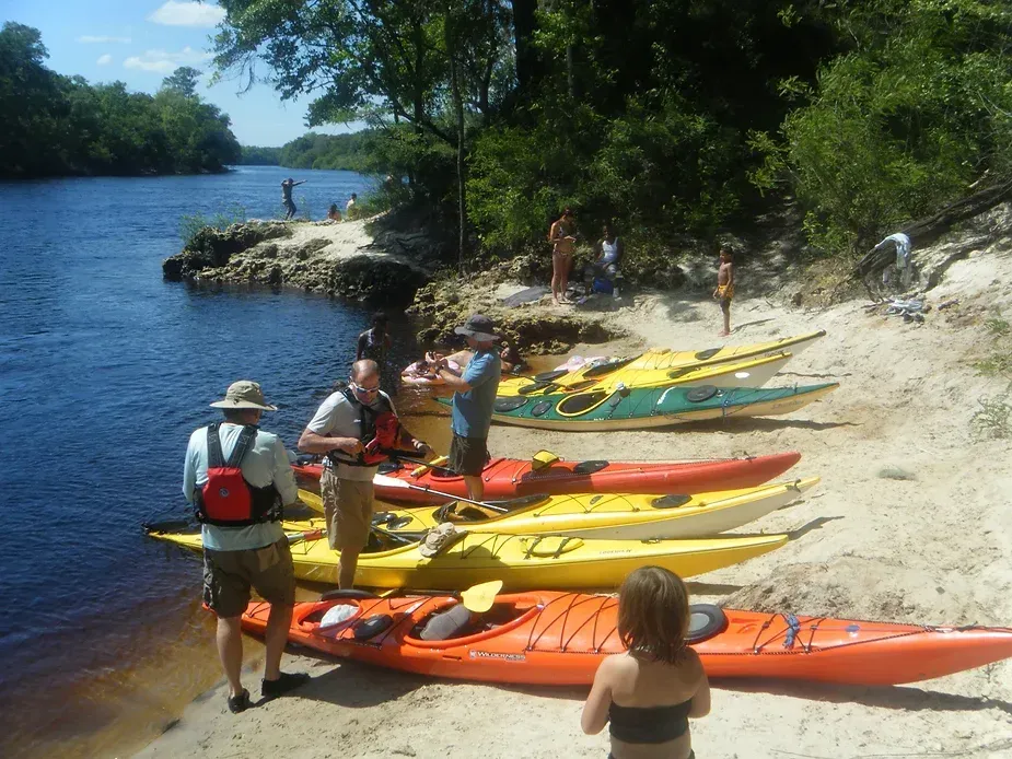 A row of kayaks are lined up on a sandy beach