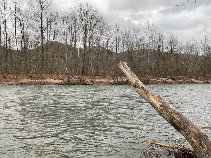 a large log is floating on top of a body of water .\