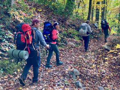 A group of people with backpacks are walking down a trail in the woods.