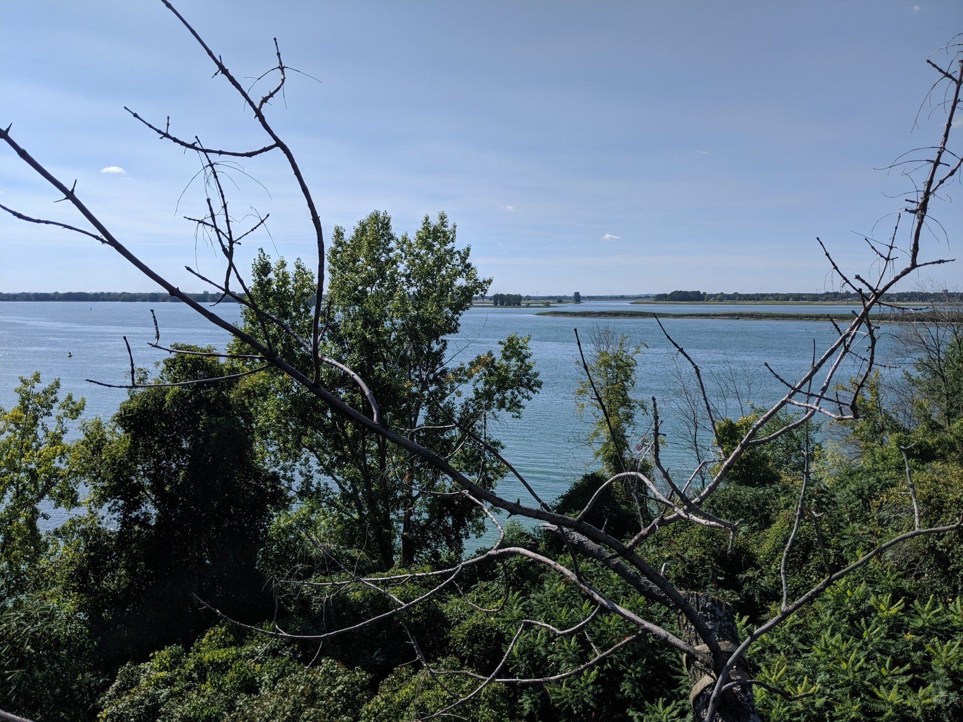 Vue sur l'eau et les terres au loin, encadrées par des branches et du feuillage vert sur un ciel bleu.