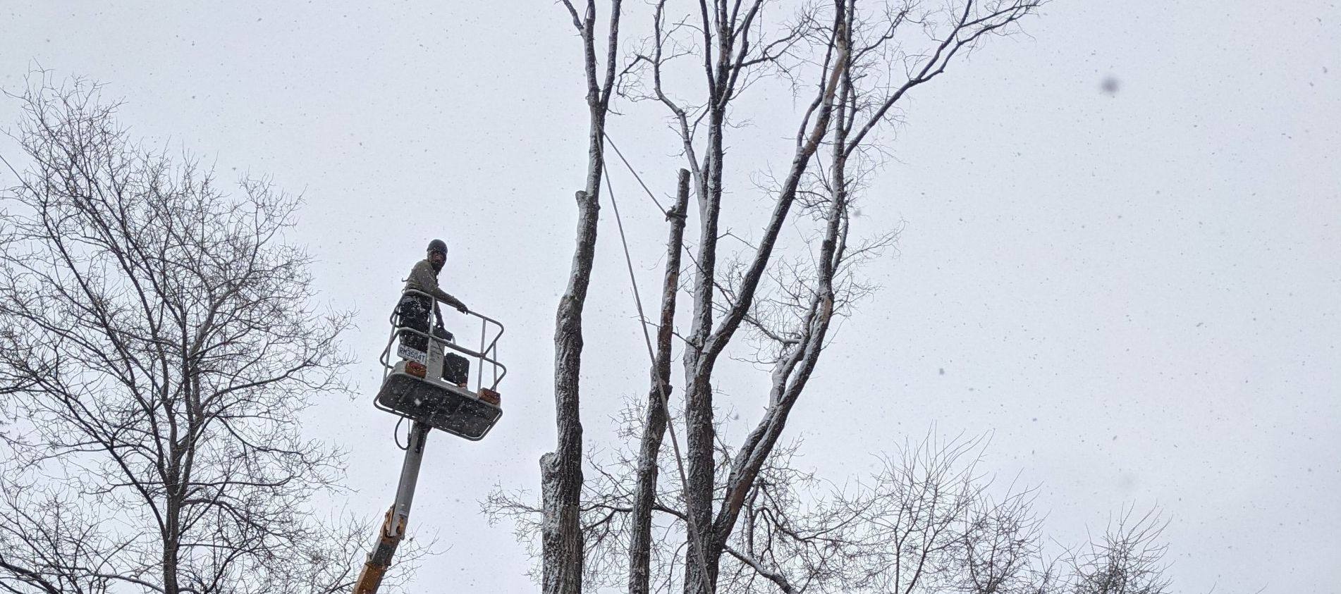 Un homme dans un seau coupe un arbre.