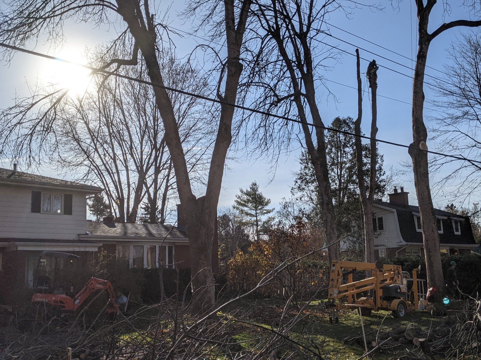 Des arbres sont taillés près des lignes électriques devant deux maisons, sous un soleil éclatant. Une petite excavatrice et du bois sont visibles au sol.