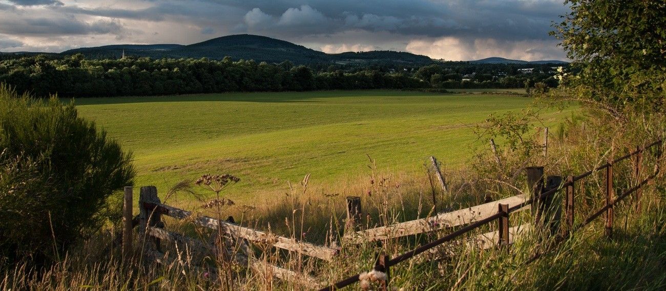 Grassy field with a wooden fence and a dark mountain under a cloudy sky.