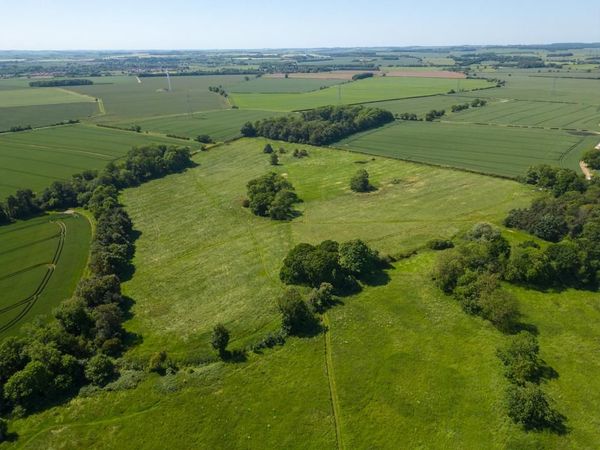 Aerial view of green fields and trees, with a small forest in the center.