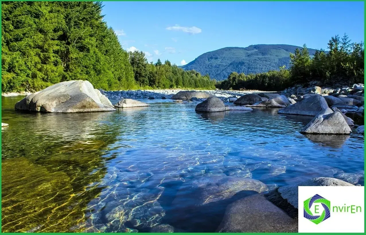 Clear river flowing over rocks, surrounded by green trees and mountains under a blue sky.