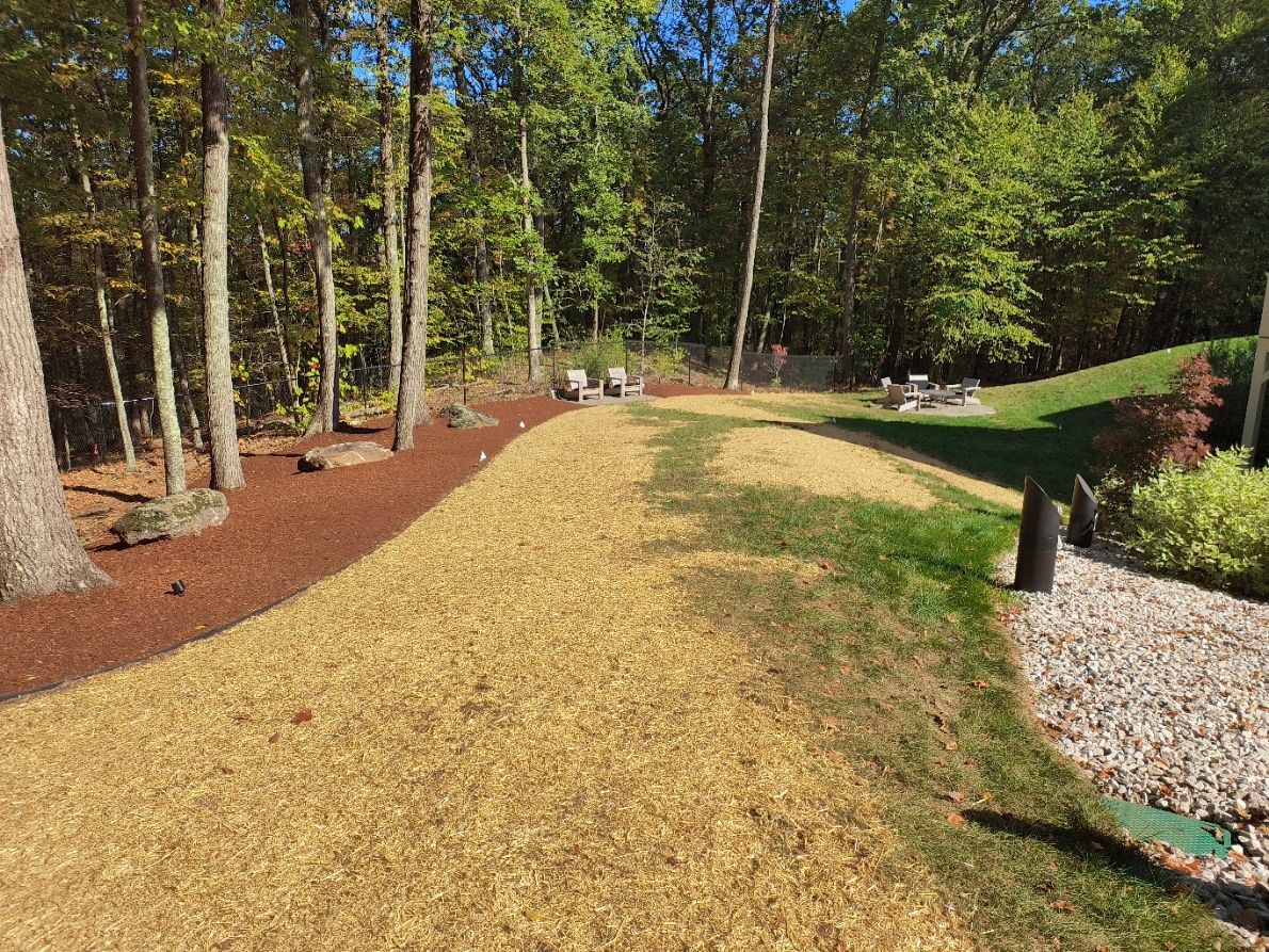 Backyard scene with trees, mulch, grass, and a seating area.