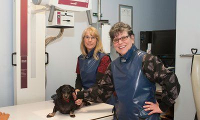 Animal Care — Two Woman Standing Beside The Dog In Taylor, MI