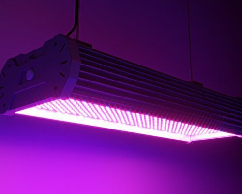 The Impact of Ultraviolet (UV) Lights on Indoor Air Quality