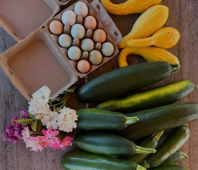Carton of eggs, squash, zucchini, and flowers on a wooden surface.