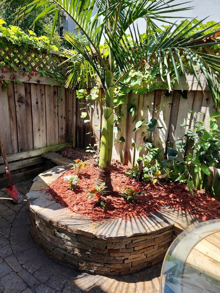 A palm tree is growing in a planter in a backyard.