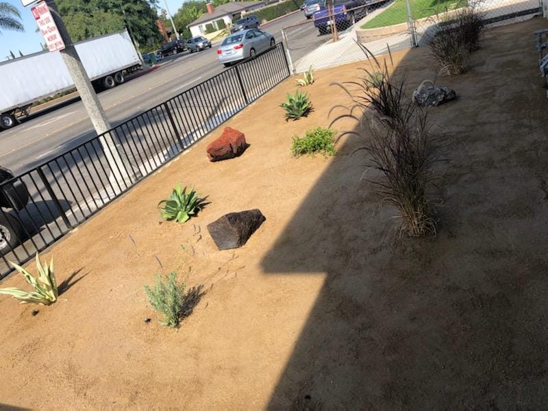Frontyard with rocks and ferns — Anaheim, CA — SG Gardening Landscape & Tree Services