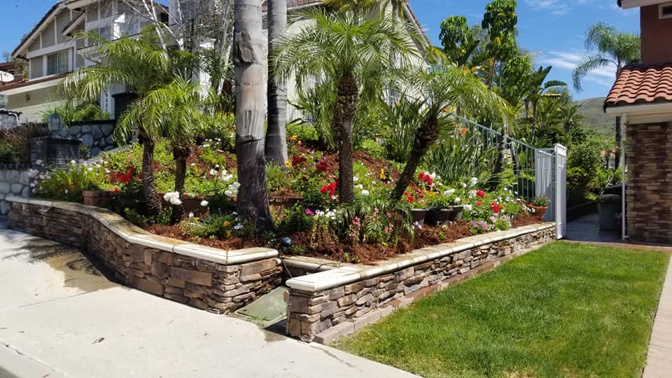 Garden with nice red and white flowers — Anaheim, CA — SG Gardening Landscape & Tree Services