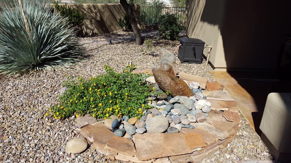 A rock garden with plants and rocks in it