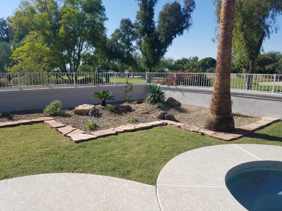 A backyard with a pool and a palm tree